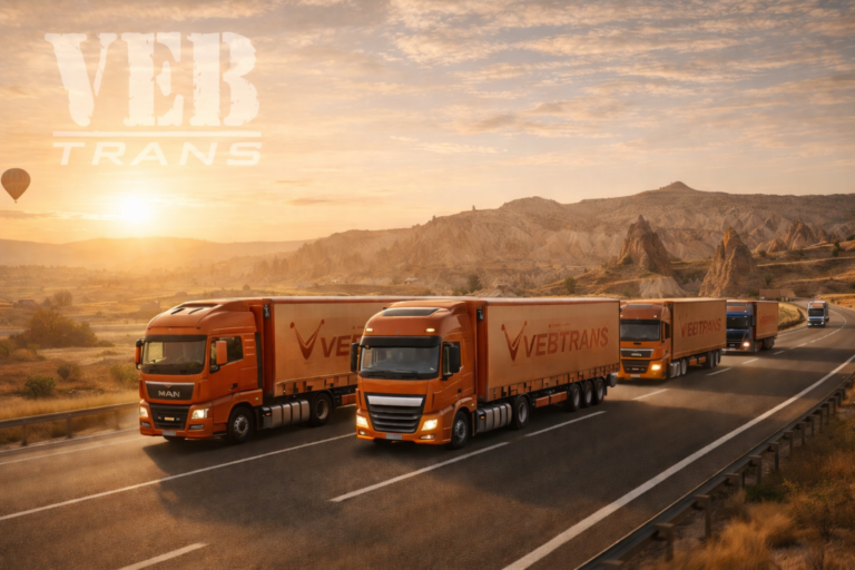 Camion VebTrans 1